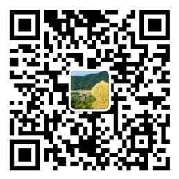 大众彩票入口welcome